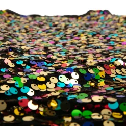 Alexandra Collection Sequin Tunic Top