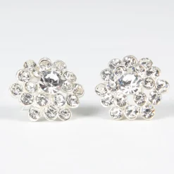Clear Rhinestone Earring