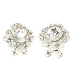 Clear Rhinestone Earring