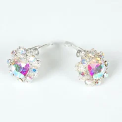 Clip AB Rhinestone Earring