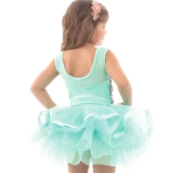 Dream Fairy Skirted Leotard