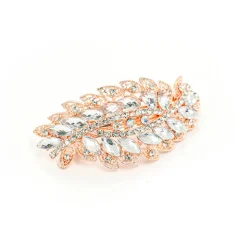 Feather Rhinestone Clip