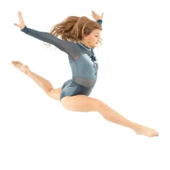 Long Sleeve Velvet Applique Leotard and Mesh Applique Skirt