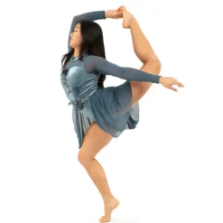 Long Sleeve Velvet Applique Leotard and Mesh Applique Skirt