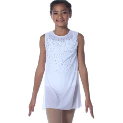 Mesh Rhinestone Dress