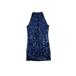 Mock Neck Sleeveless Two Tone Tunic Dress