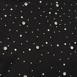 Rhinestone Hoodie
