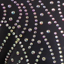 Shine On Rhinestone Long Sleeve Biketard