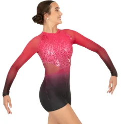Youth Ombre Cut Out Biketard